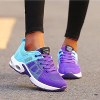 Turquoise / Purple