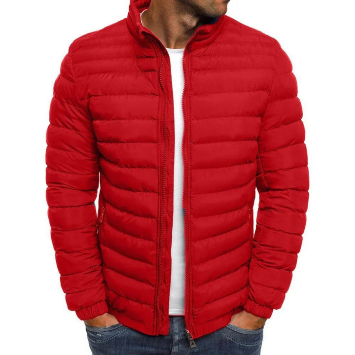 Men's quilted puffer jacket with high collar, long sleeves and zipped pockets