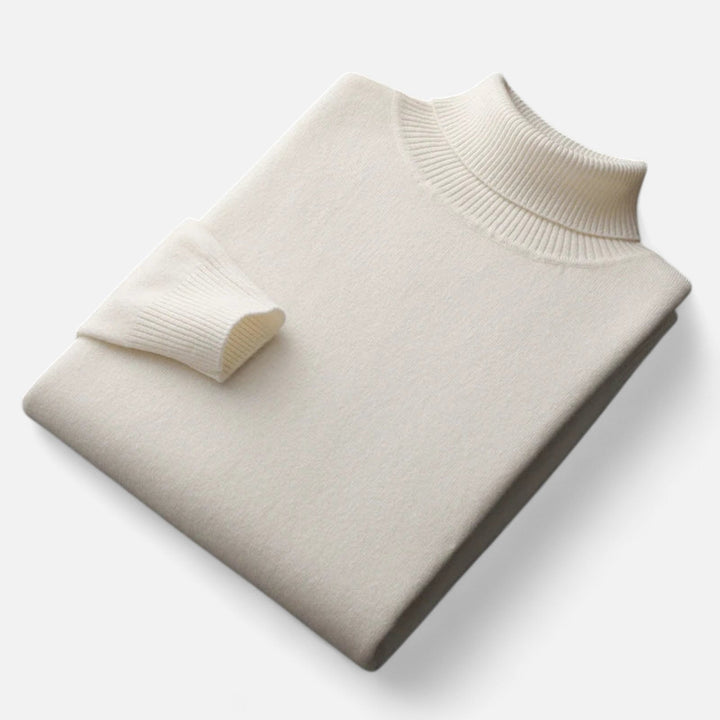 Men's solid turtleneck sweater with long sleeves and ribbed trims